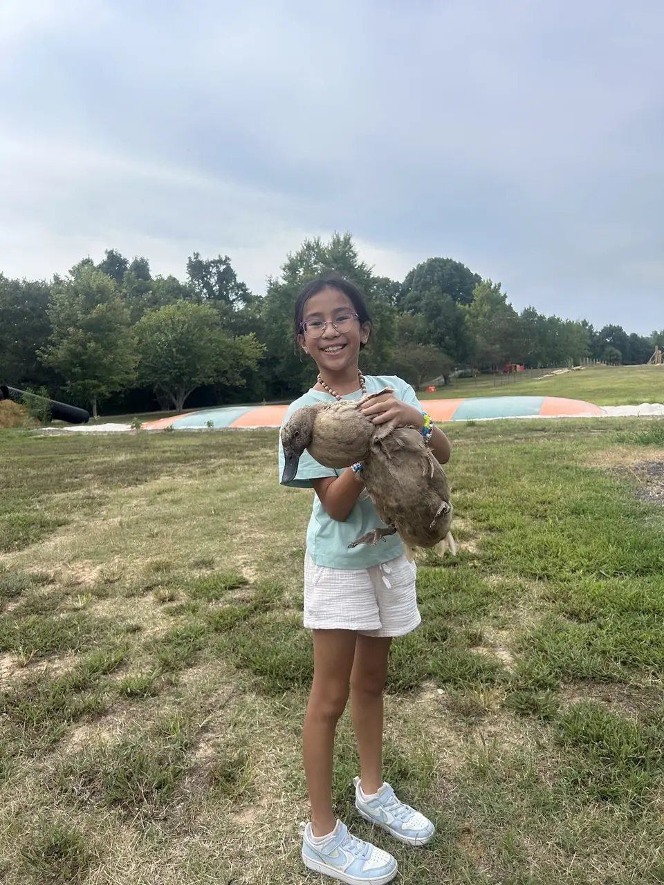 A girl holding a chicken in a grassy field