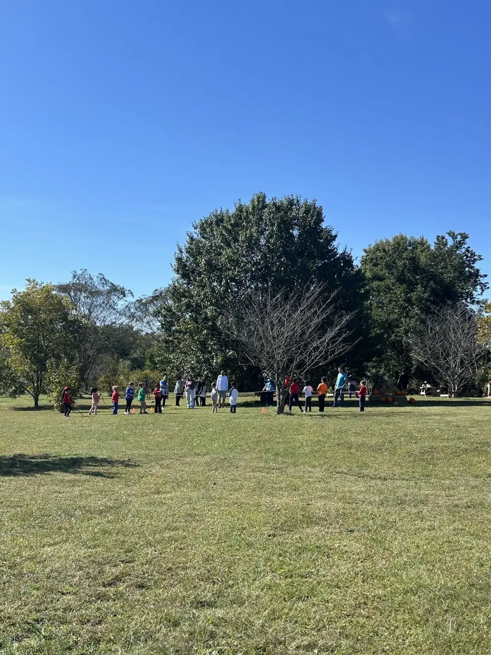 A school group walking across a big field under shade trees