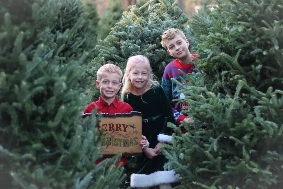 Three children among Christmas trees holding a Merry Christmas sign