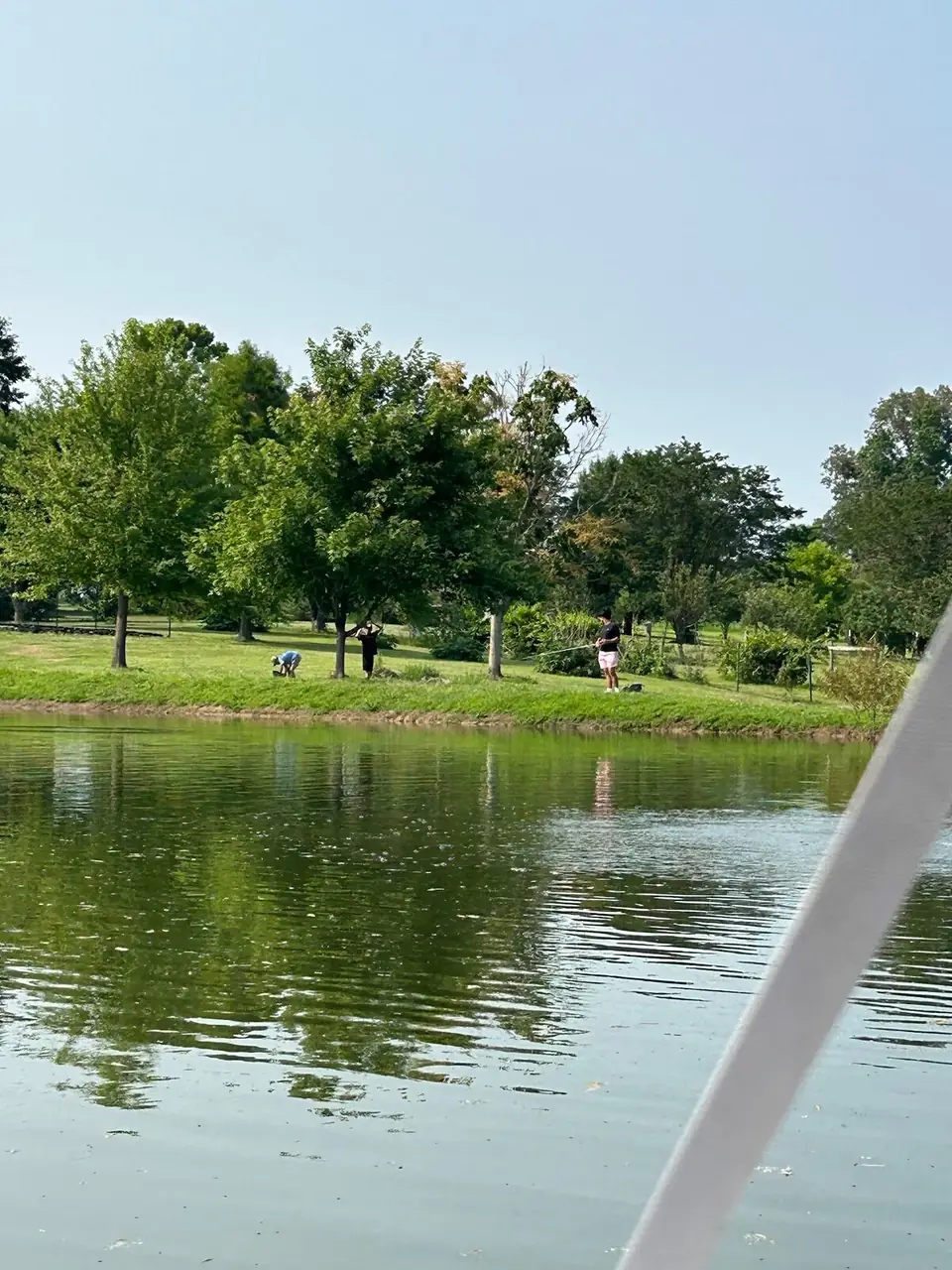 A pond with trees on the far bank
