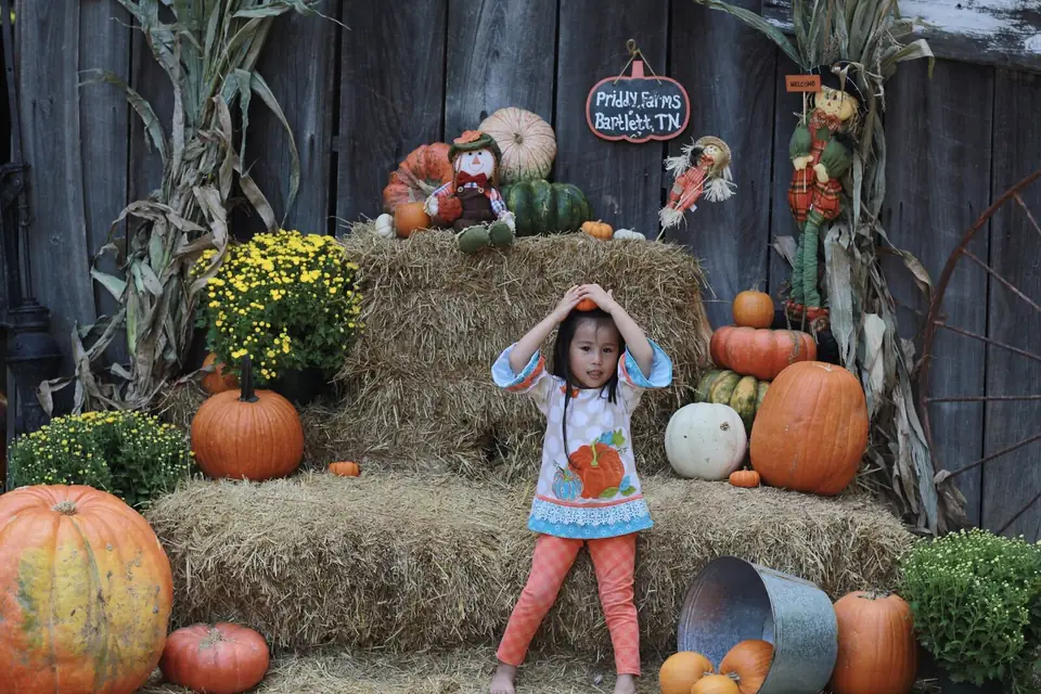 A little girl posing on a hay bale display with pumpkins and mums
