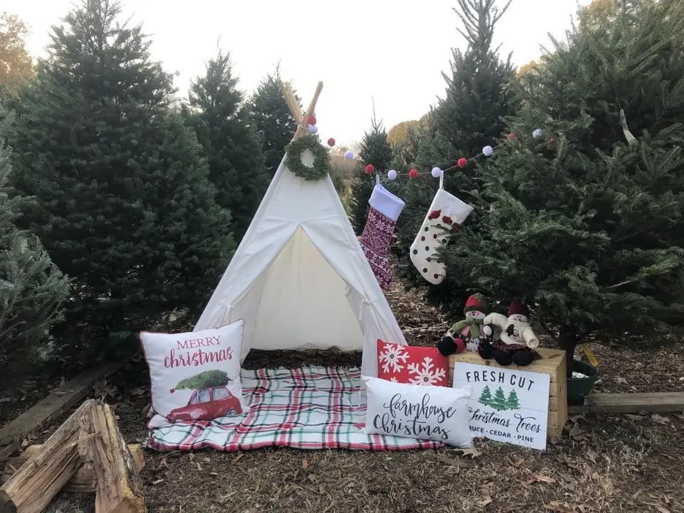 A holiday photo spot with a white tent, stockings and Christmas trees