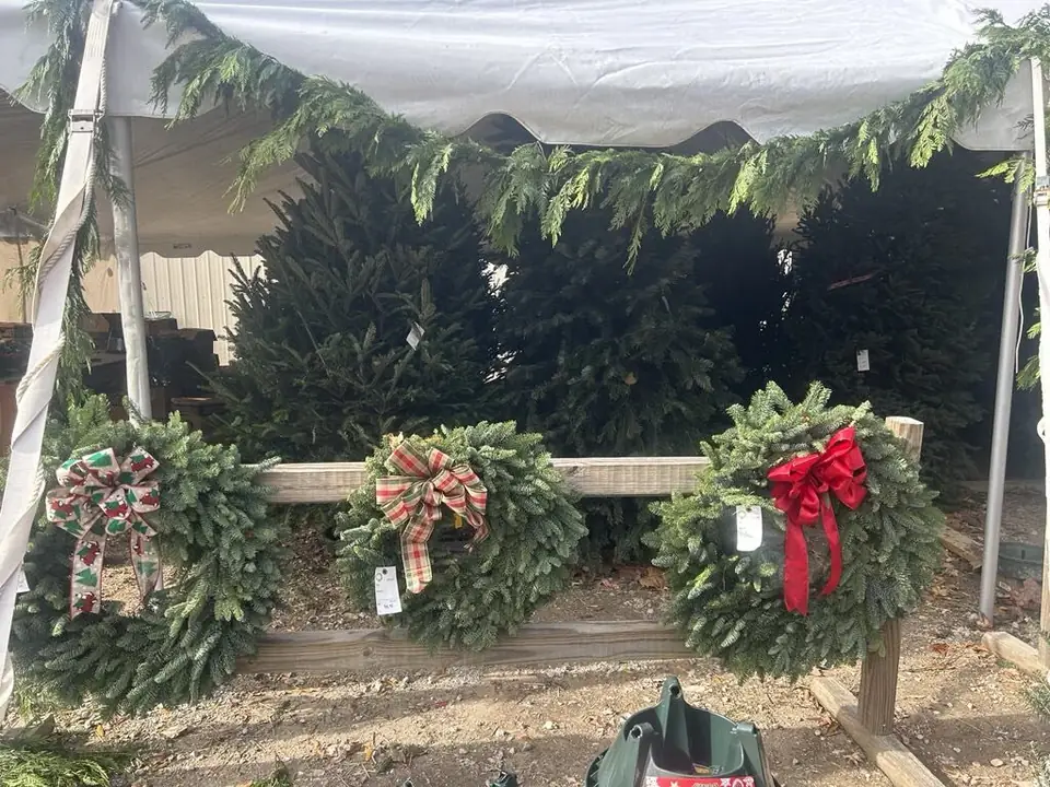 Decorated wreaths and fresh garland for sale under a tent