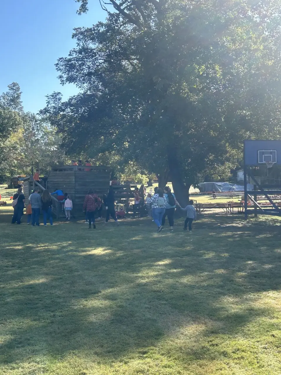 Visitors in a shaded play area