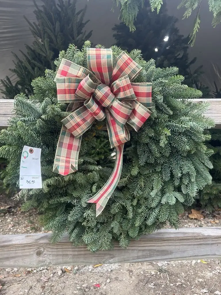 A fresh wreath with a plaid ribbon bow