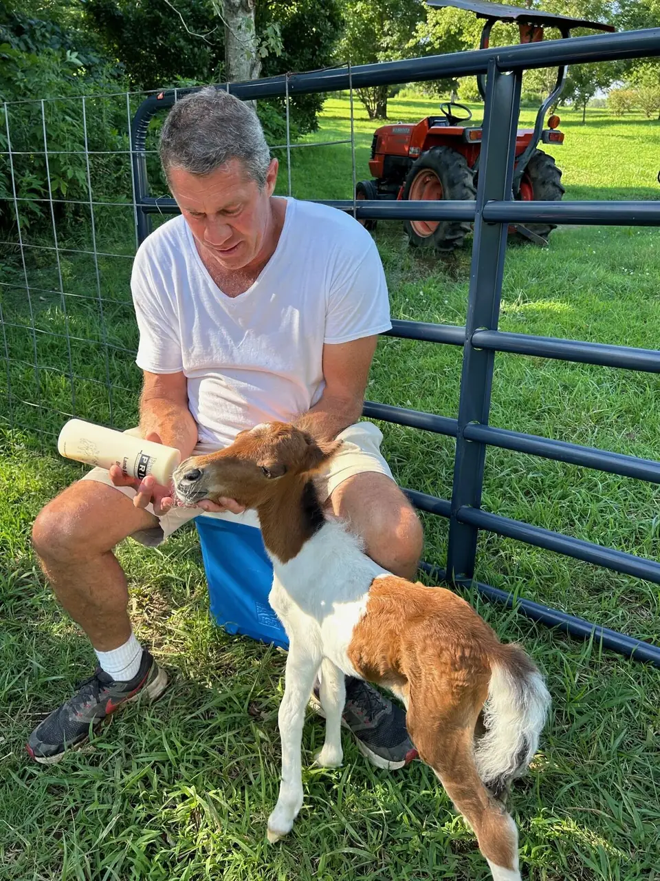 A man bottle-feeding a young goat