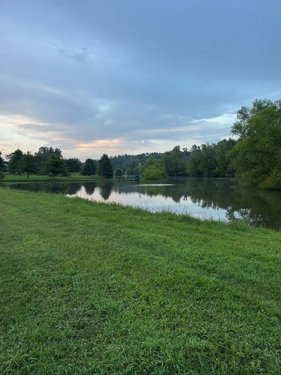 A grassy slope leading down to the lake