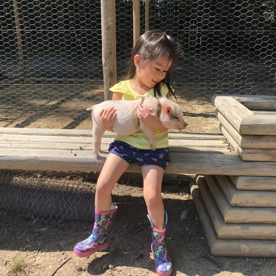A girl holding a piglet